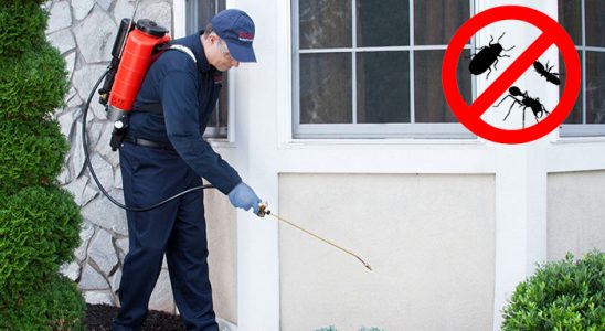 Büyükorhan Kene İlaçlama böcek ilaçlama ve haşere kontrolü — ilaclama-tr.com
